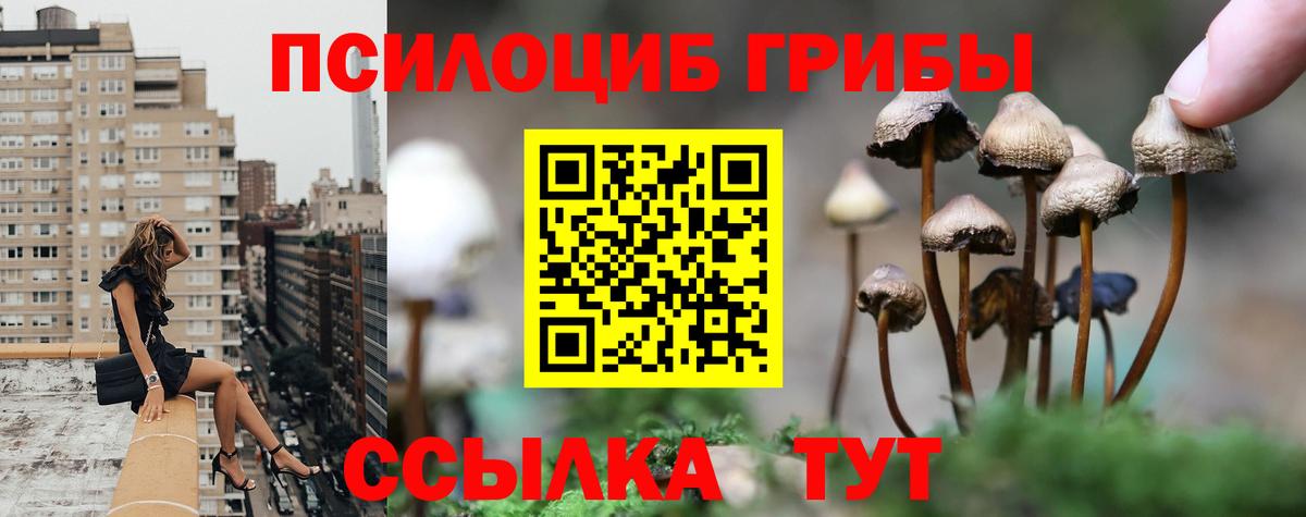 Галлюциногенные грибы мицелий  Псилоцибиновые грибы Psilocybe  Вход с VPN  Череповец 